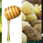 Tratamiento efectivo para enfermedades en plantas de lúpulo