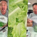 Trucos para mantener la lechuga crujiente tras la cosecha