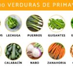 Verduras preferidas por los possums en tu jardín