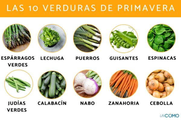 Verduras preferidas por los possums en tu jardín